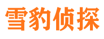 金口河寻人公司